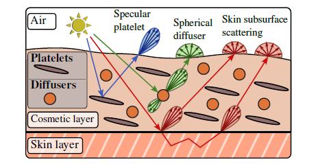 Cosmetics appearance diagram